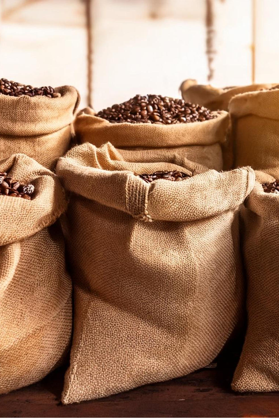 JT Gourmet Coffee